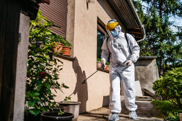 Bird Control in Pleasant Hill, OH
