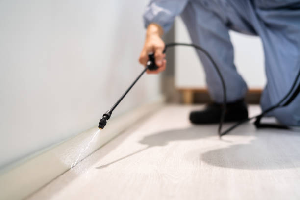 Best Pest Removal Services  in Pleasant Hill, OH