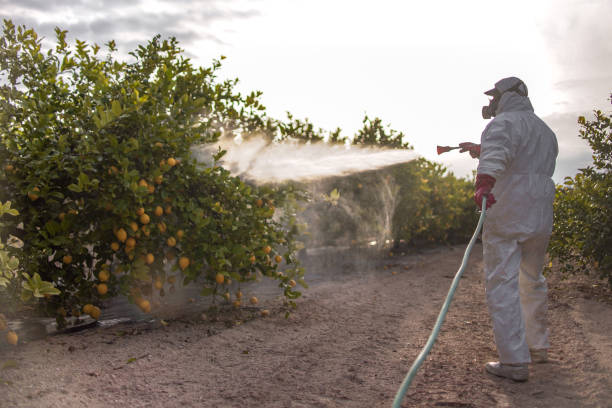 Best Wasp Removal Services  in Pleasant Hill, OH