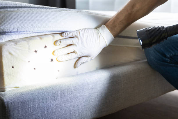 Best Rat Extermination Near Me  in Pleasant Hill, OH