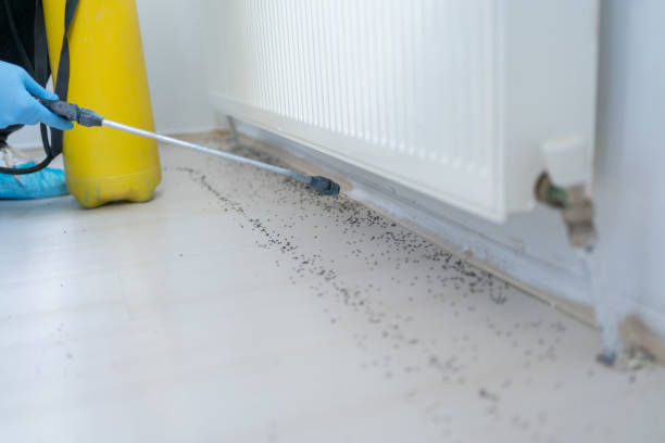 Best Exterminator Services  in Pleasant Hill, OH