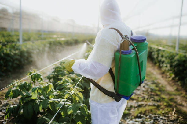 Best Pest Control Near Me  in Pleasant Hill, OH